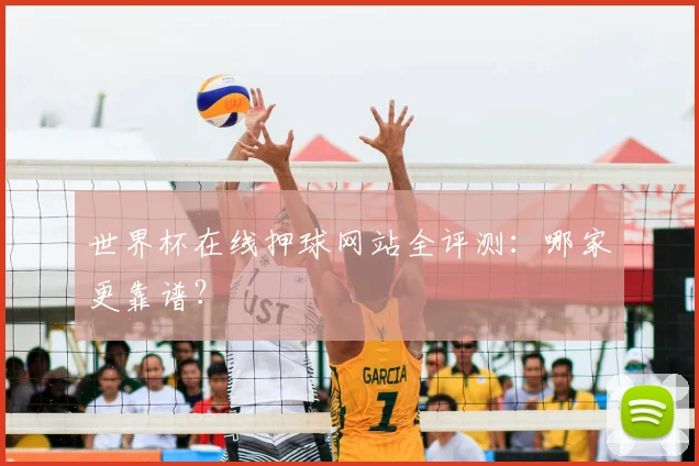 世界杯在线押球网站全评测:哪家更靠谱?
