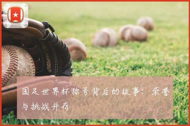 国足世界杯称号背后的故事:荣誉与挑战并存