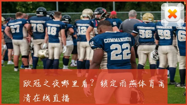 欧冠之夜哪里看？锁定雨燕体育高清在线直播