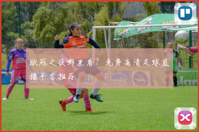 欧冠之夜哪里看？免费高清足球直播平台推荐