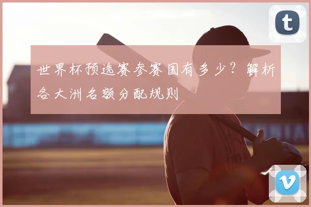 世界杯预选赛参赛国有多少？解析各大洲名额分配规则