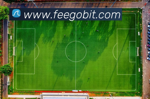 足坛女球员脚踝伤情回顾 专家解析长期高强度比赛对身体影响